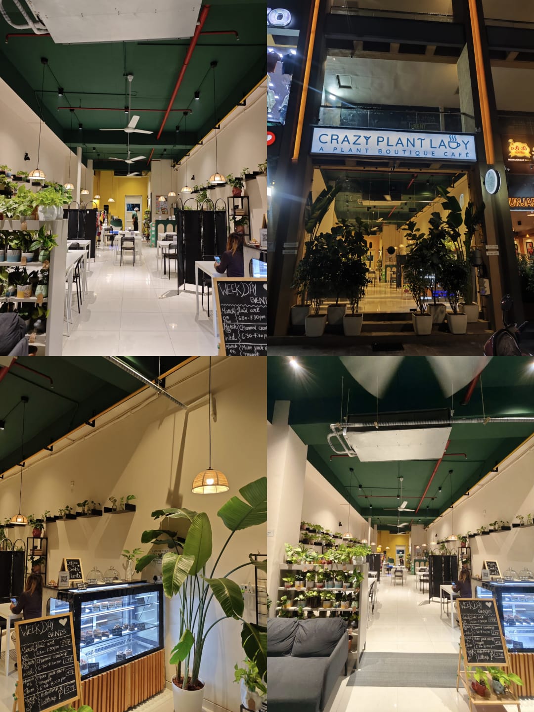 Crazy Plant Lady Cafeteria